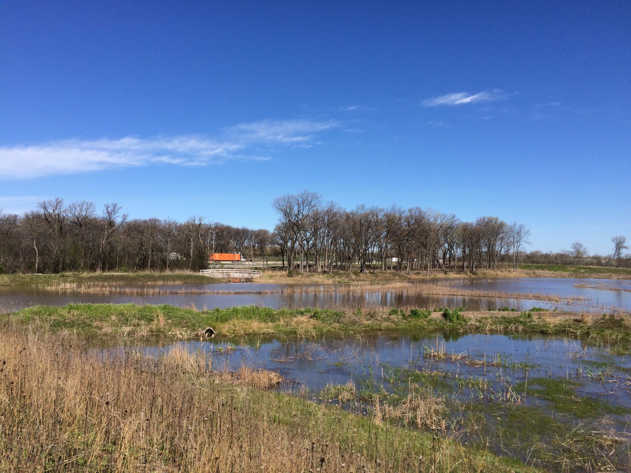 Dalitsch Pond Enhancements - Image 2