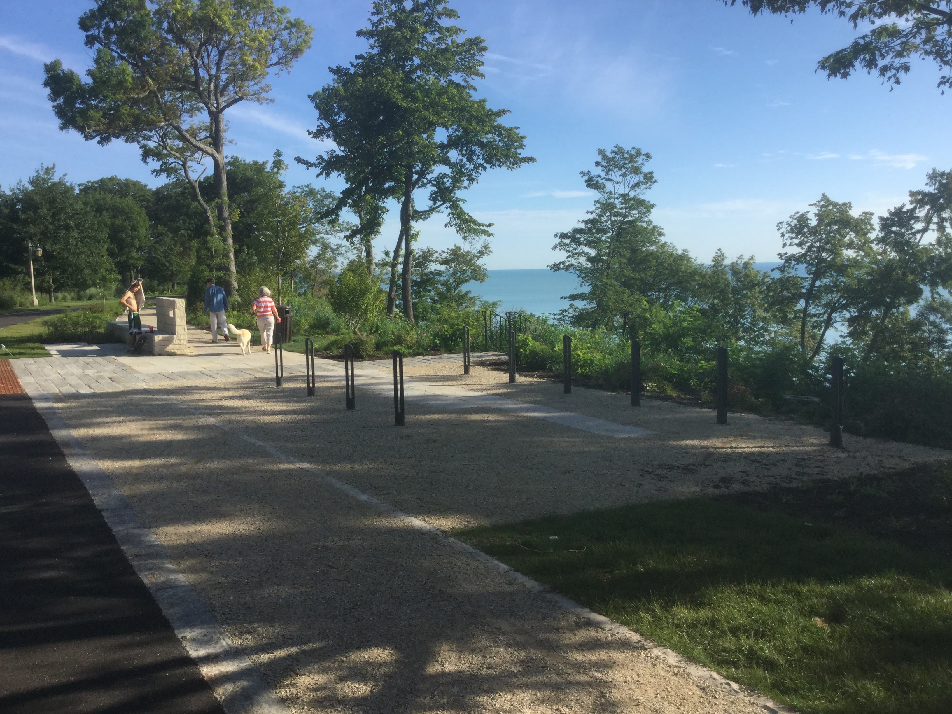 Forest Park Restoration