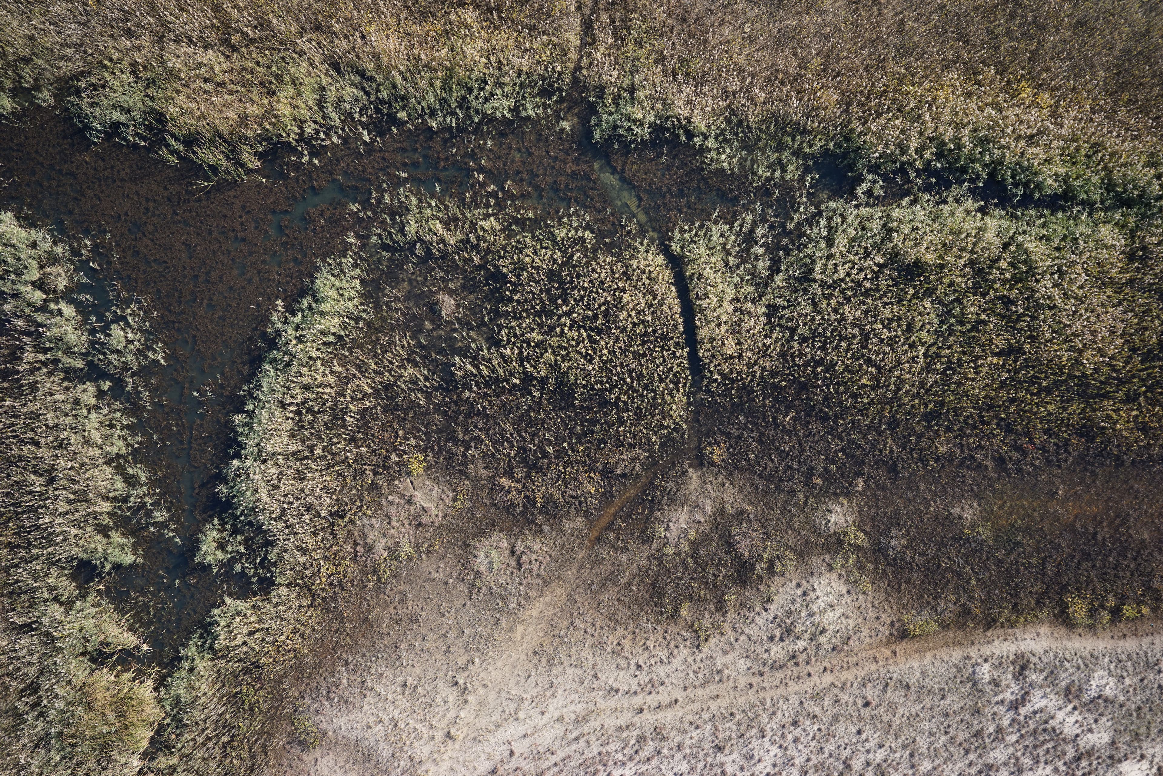 Waukegan Municipal Beach - Image 3