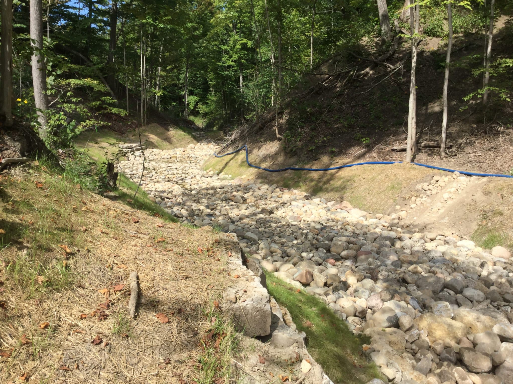 Fort Sheridan Ravine & Coastal Restoration - Image 4