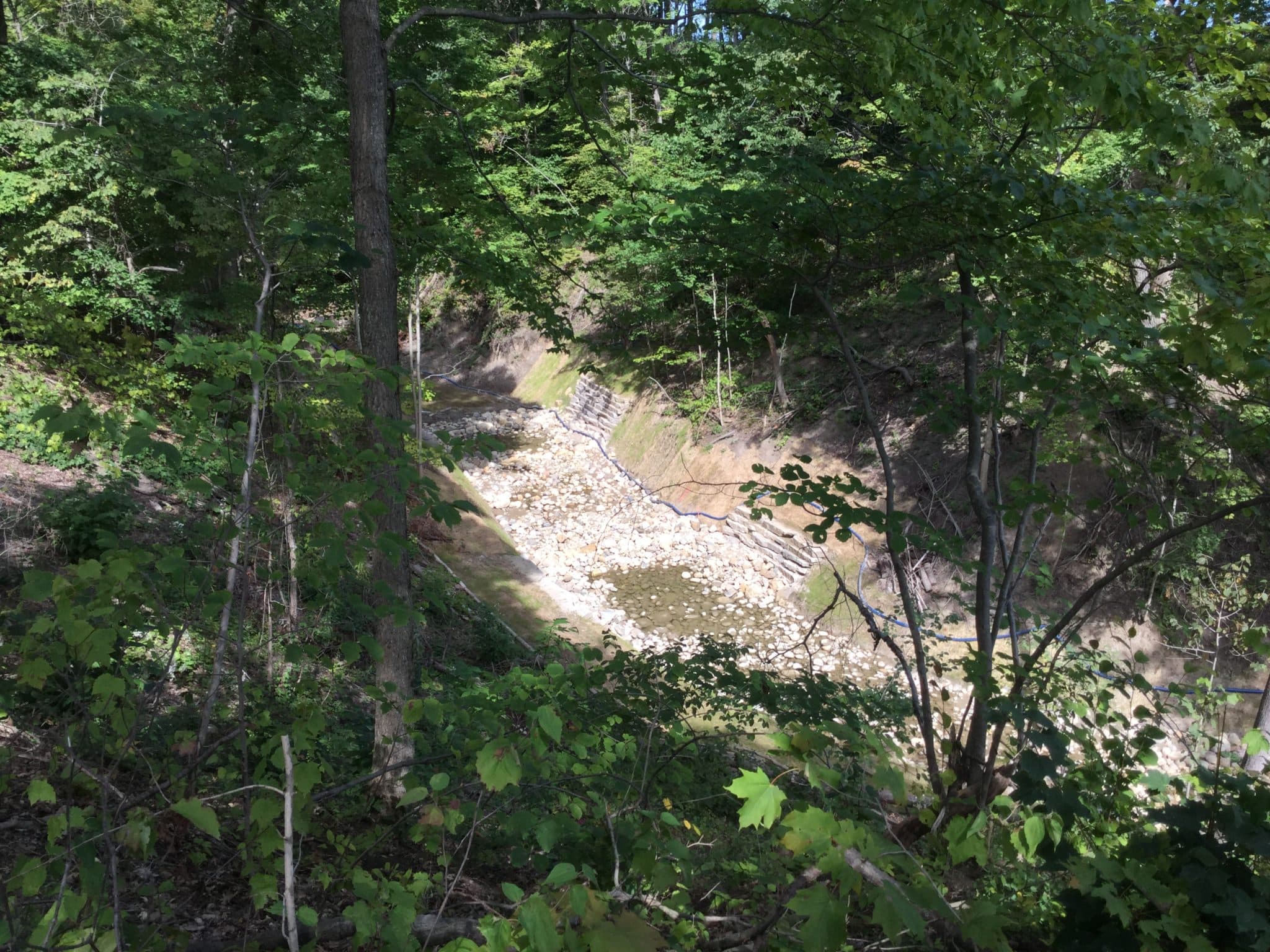 Fort Sheridan Ravine & Coastal Restoration - Image 5